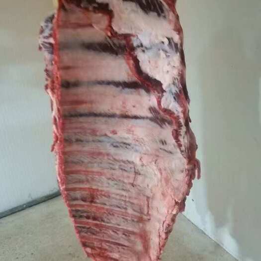 阳信县13肋满肉牛排，国产纯干，全国发货