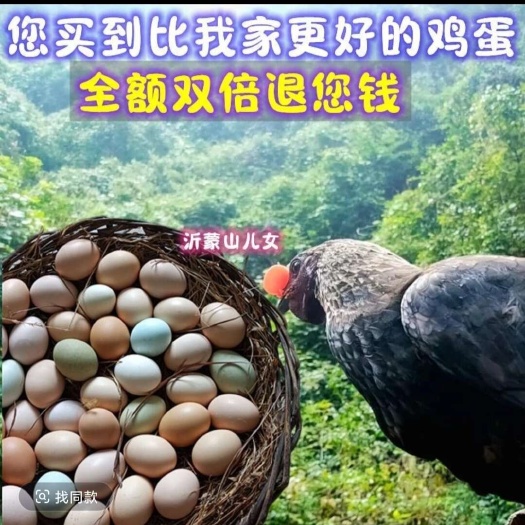 沂南县沂蒙山农家散养新鲜土鸡蛋