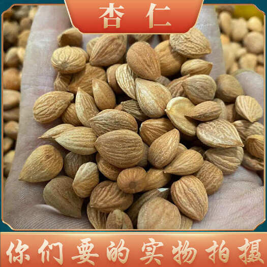 成都【四川发货】苦杏仁无硫杏仁苦杏仁500袋装河北苦杏仁包邮