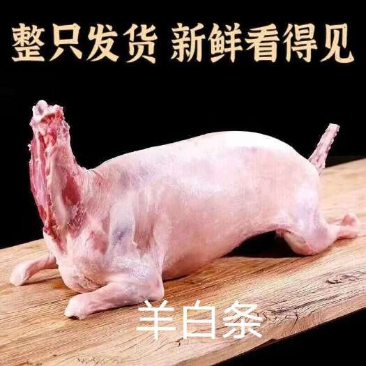 【军哥羊白条】内蒙古草地1年羔羊，美多肉羊排前羊腿新鲜批发