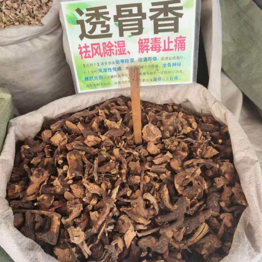 【满山香】透骨香根叶搜山虎纯根干品无硫香根枝叶九木香滇透骨香