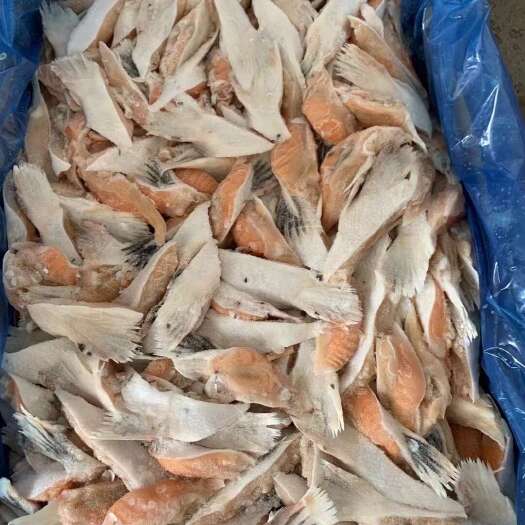 青岛三文鱼鳍