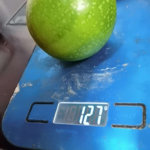 临高县新鲜海南钦蜜9号百香果现摘发货