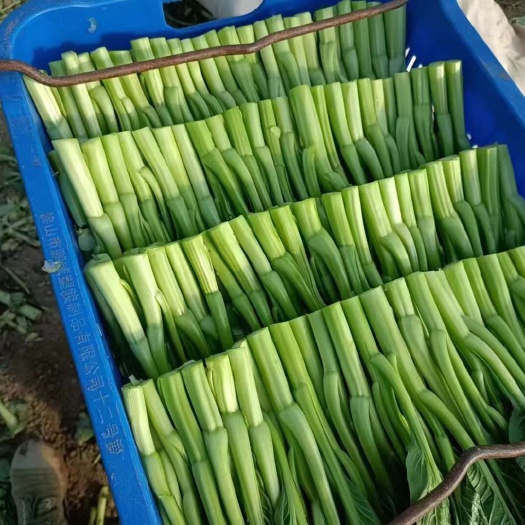 供应各大食堂等超市