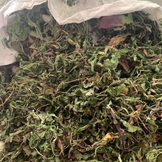 洛宁县山区蒲公英，蒲公英，全草干货，量大价格优惠，欢迎咨询！