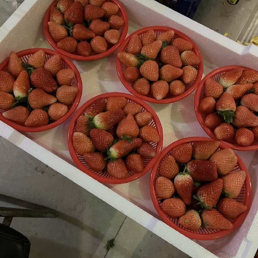 中牟县宁玉鲜草莓