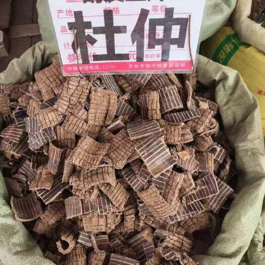 玉林杜仲皮 杜仲干货正品老树粗皮老树