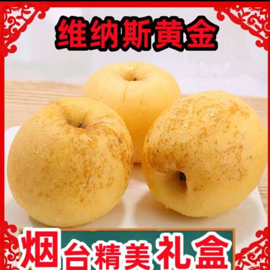 莱阳市烟台黄金维纳斯苹果香甜多汁产地直发支持团购集采直播一件代发