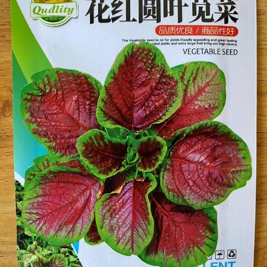 花红圆叶苋菜种子红苋菜种子蔬菜种子春夏蔬菜种子