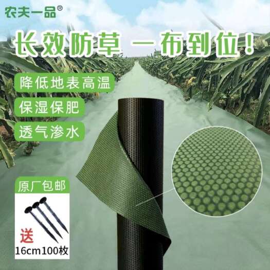 东莞市生态防草布，可自然降解，渗水快，透气，保湿保肥