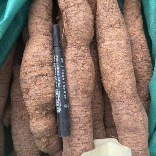十年大牛 粉质牛大力薯