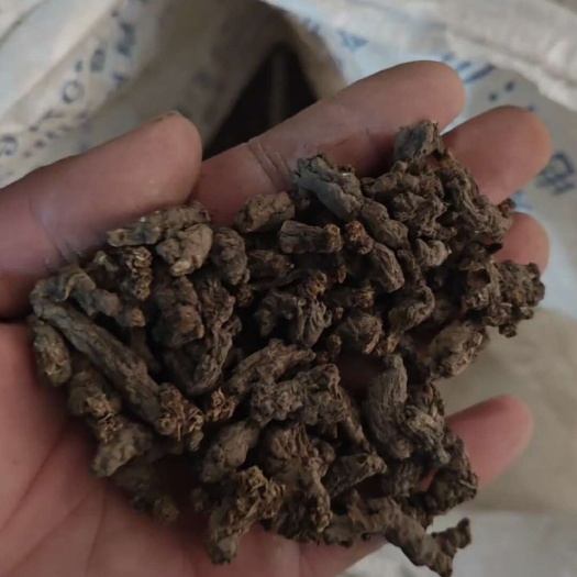 天葵子 黄金老鼠屎 货 数量不多需要直接拍下