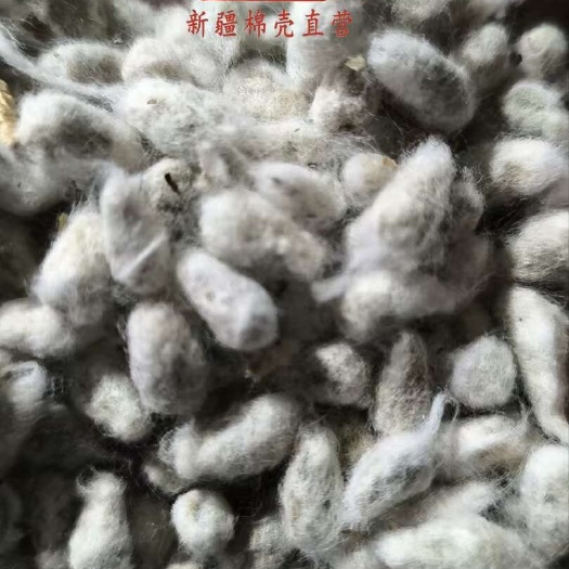 毛籽，毛棉籽，新疆毛籽