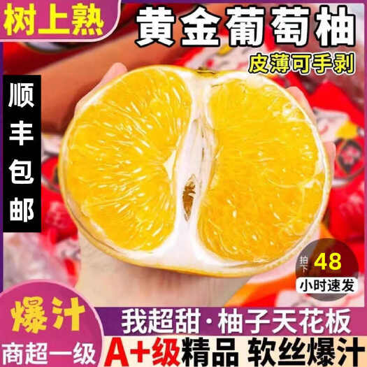 平和县【顺丰包邮】福建漳州平和新鲜葡萄柚当季采摘现发