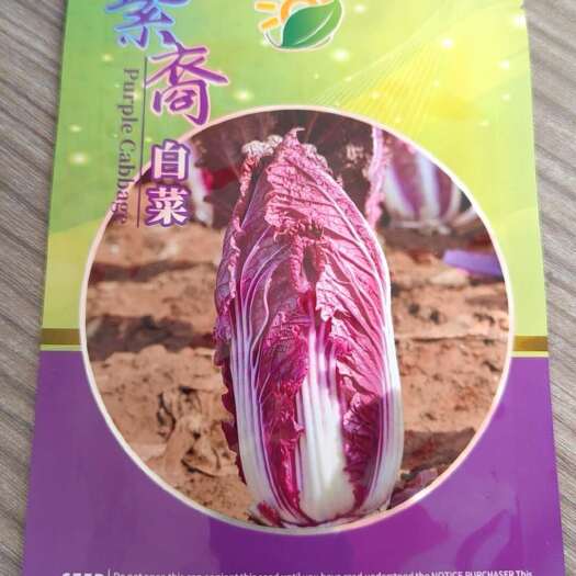 紫白菜种子