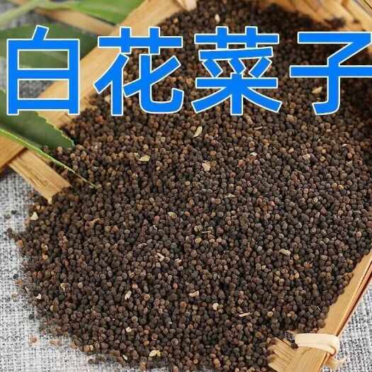 亳州中药材白花菜子1kg白花菜籽精选百花菜籽