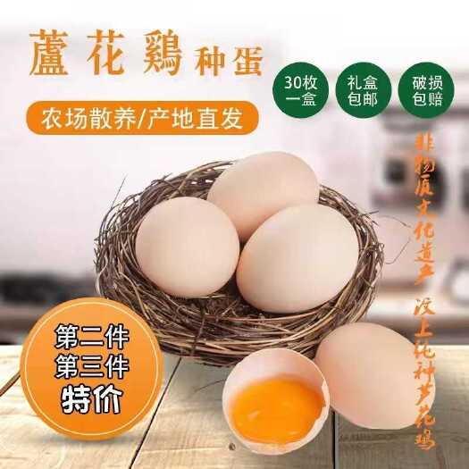 汶上县纯种芦花鸡芦花鸡种蛋受精率高95以上土鸡种蛋