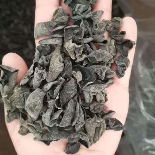 平顶山东北黑木耳——直供电商及各大经销商
