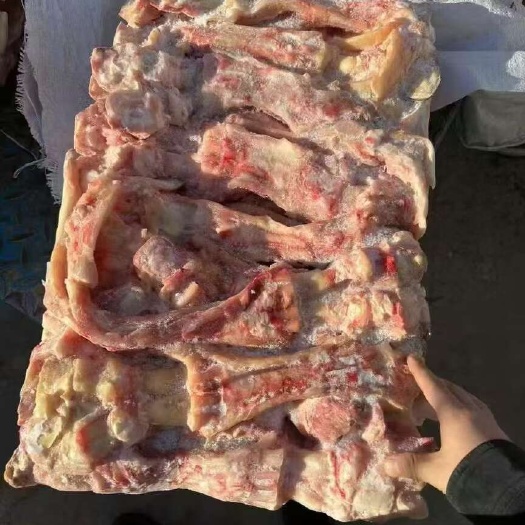 郑州牛蹄筋 主筋