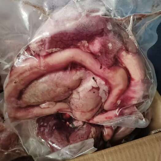 郑州牛鞭宝 郑州现货