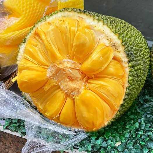 彭水菠萝蜜