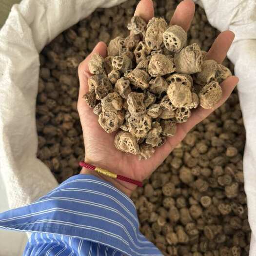 鄄城县藕节 干货藕节 发货如图 正品 干藕节