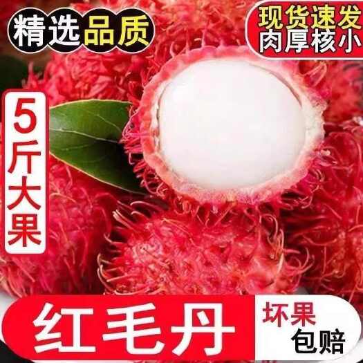 平乐县孕妇水果速发 泰国红毛丹毛荔枝东南亚当季新鲜水果整箱批发