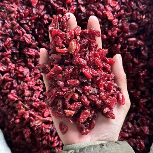 鄄城县山萸肉 正品山萸肉 筒子皮 选货 发货如图 山茱萸 萸肉