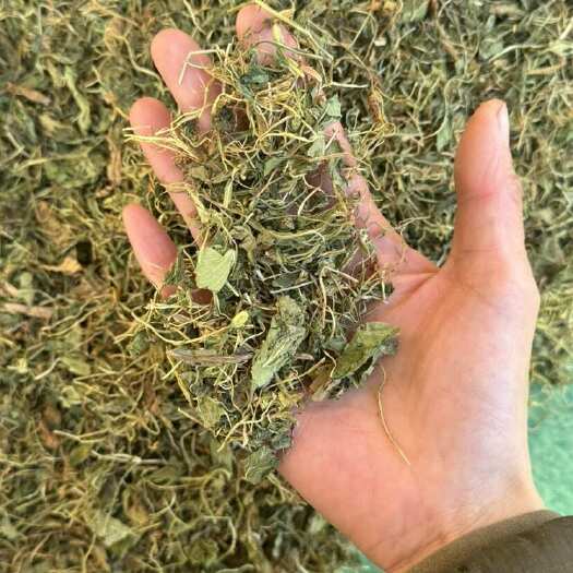 鄄城县地丁 干紫花地丁 紫花地丁 颜色青 过筛货 发货如图 正品