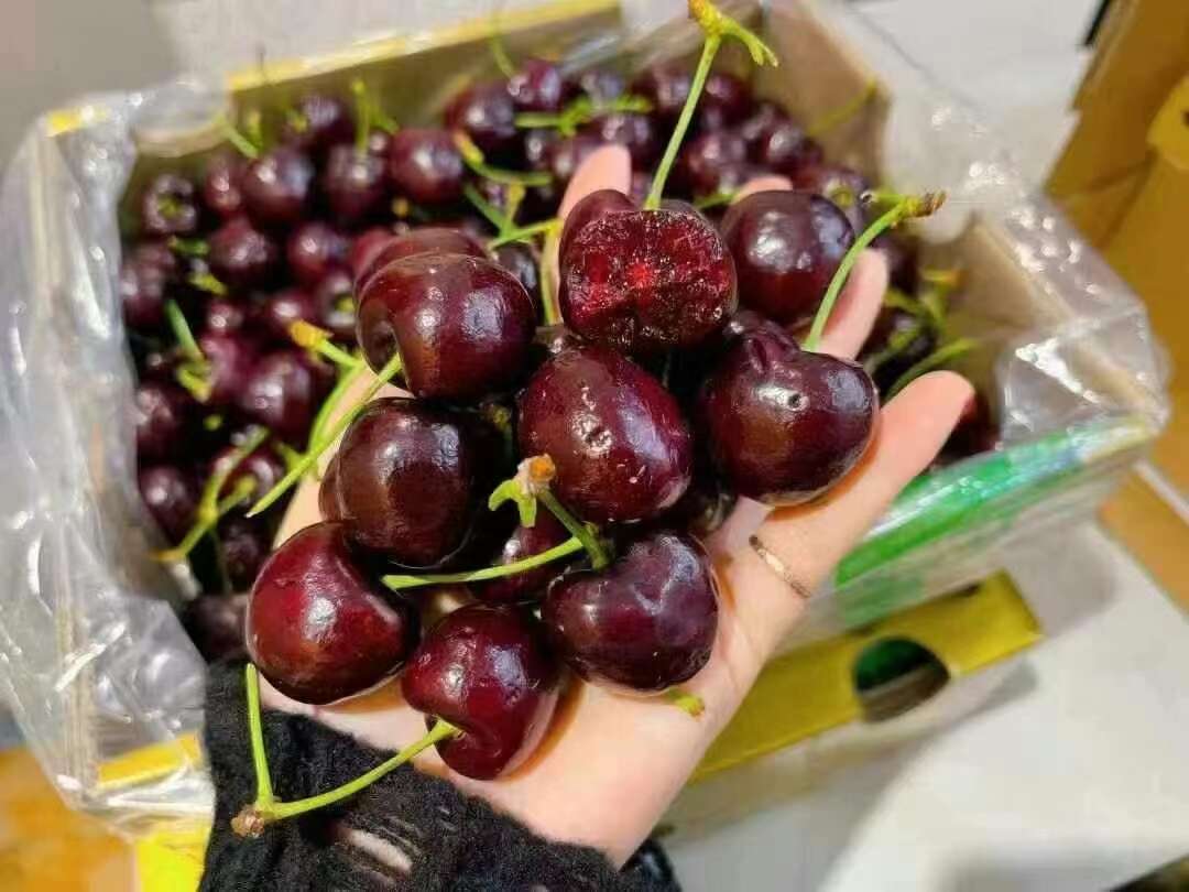 车厘子的背后故事