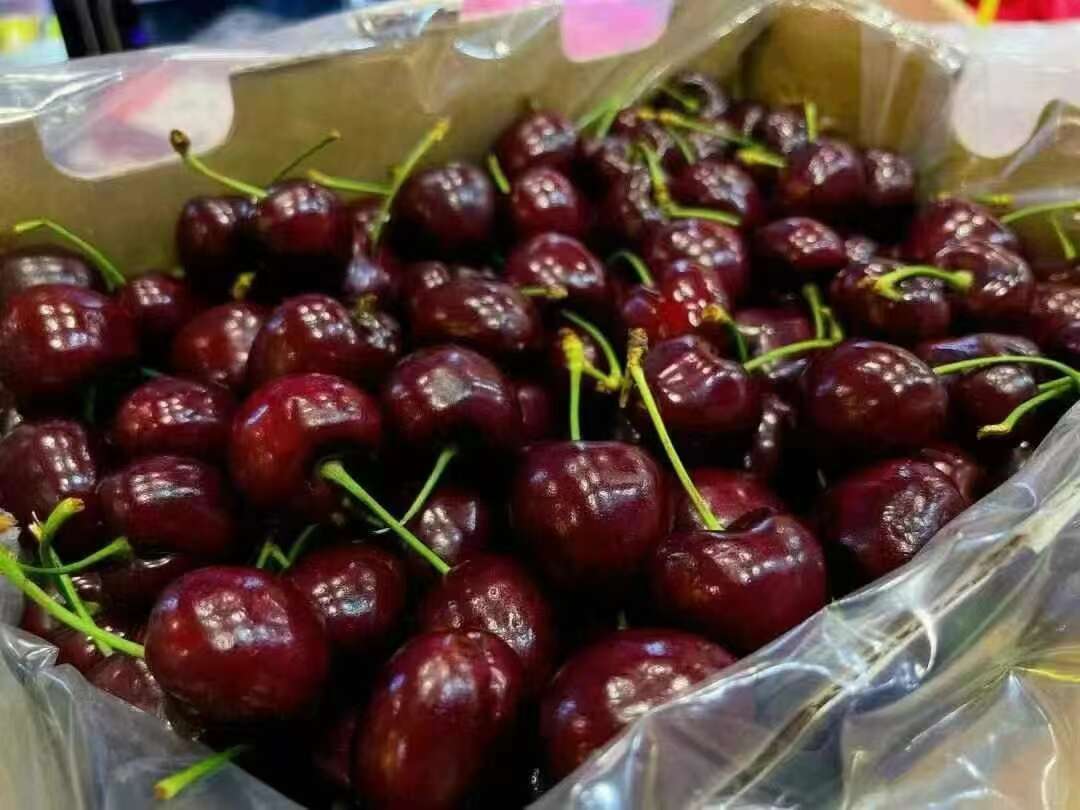 车厘子的背后故事