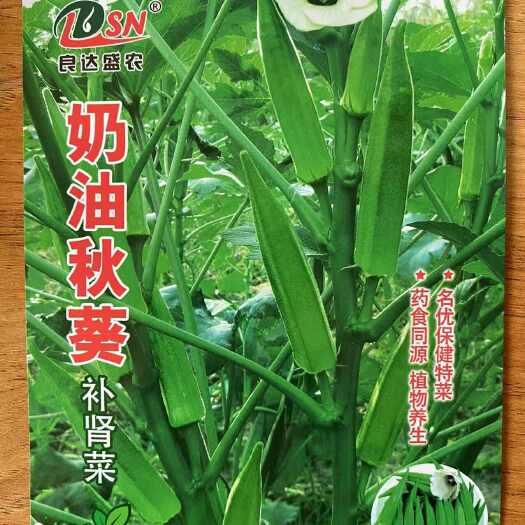 安仁县奶油秋葵种子新品种奶油黄秋葵蔬菜种子盆栽大田种植秋葵种子