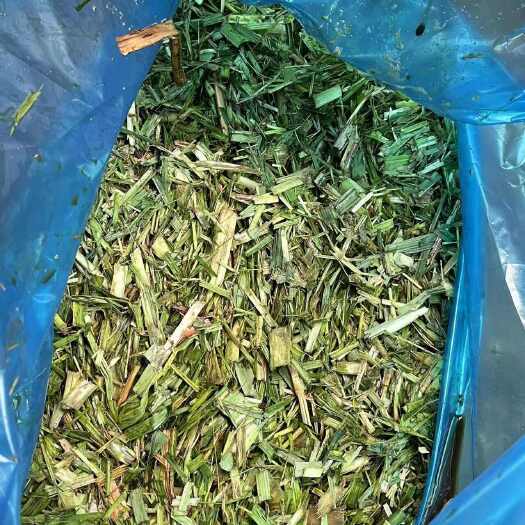 柳城县甘蔗尾青贮草料