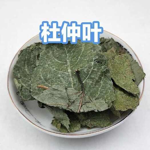 亳州中药材杜仲叶1公斤 青色杜仲叶新货