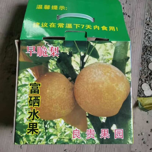 大埔县[预售]广东梅州新鲜早脆梨果实饱满口感清甜脆爽