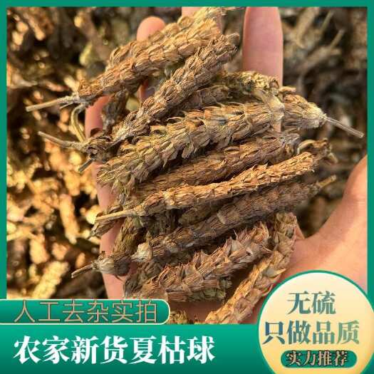 鄄城县夏枯球 正品夏枯球 实物拍摄发货如图保庆药业