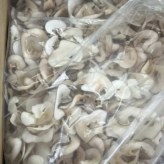 广州海底椰片