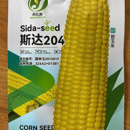 衡阳县斯达204玉米种子水果玉米种子蔬菜种子甜水果玉米种籽甜玉米籽