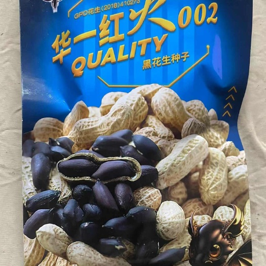 祁东县黑花生种子华一红火002花生种新品黑粒花生黑花生种籽