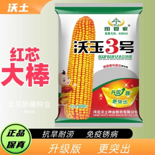 郑州沃玉3号玉米种子国审正品红轴大棒玉米种子