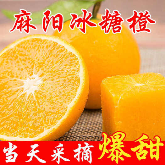 海口高山麻阳冰糖橙当季新鲜水果现摘现发超甜手剥橙子