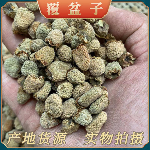 【四川发货】覆盆子无硫浙江覆盆子道地药材浙八味覆盆子包邮