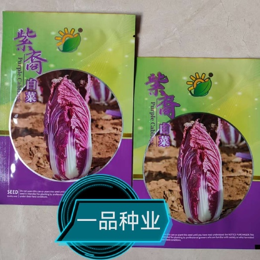 莱阳市杂交一代紫裔白菜种子