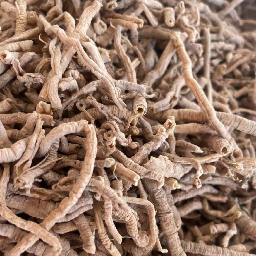 亳州远志 中药材远志 远志筒 远志肉 抽芯远志