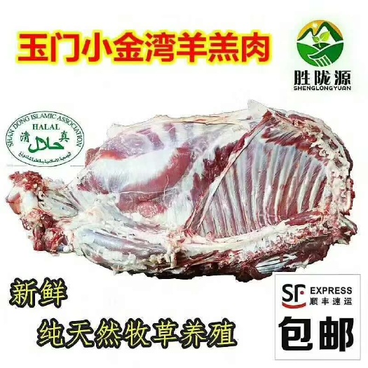 玉门市甘肃玉门羊肉批发 羊羔肉批发全国发货 羊肉批发 甘肃玉门清真
