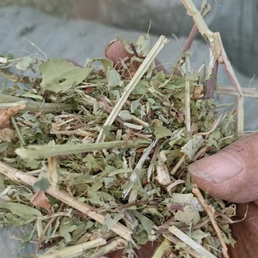 正阳县有需要花生秧的请和我联系，本人常年加工带销售