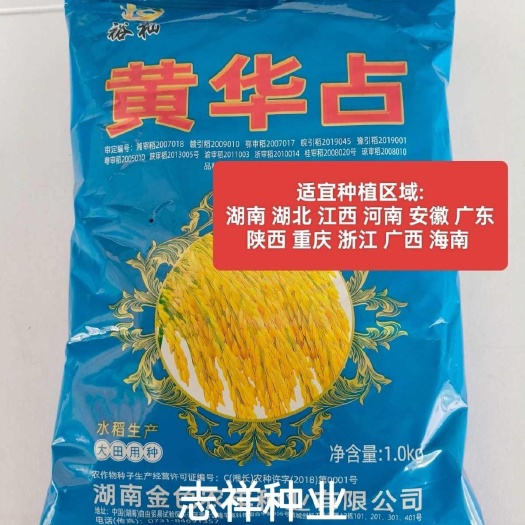 华容县黄华占水稻种子原种 常规可留种水稻种 长粒优质中稻水稻种子