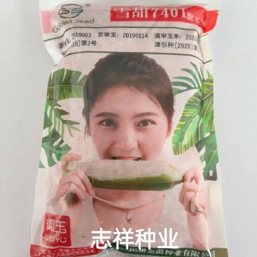 华容县雪甜7401甜玉米种子 冰糖玉米可生吃水果玉米种籽400克