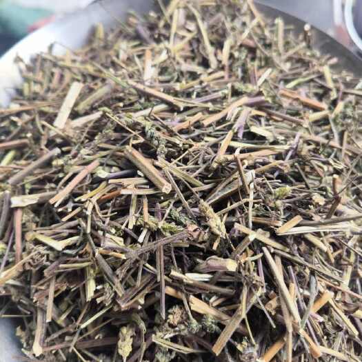 荆芥中药材荆芥全棵切片产地直销大货供应
