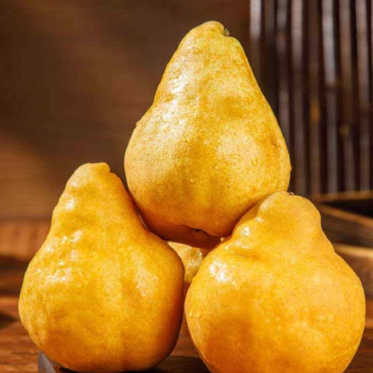 荣成市丑梨 盘克汉姆